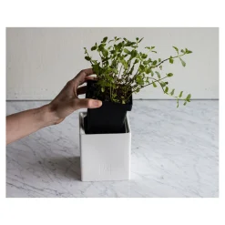 0.9 qt, Ceramic, Medium Box With Herb Pot And Lid