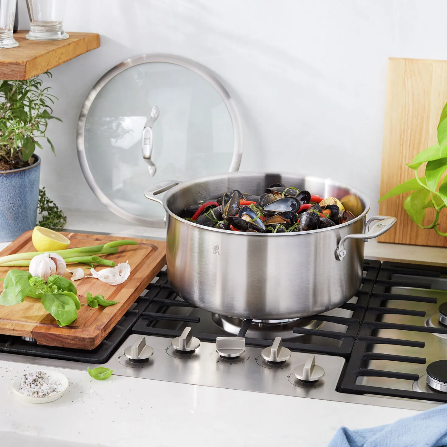 8 qt, Stainless Steel Dutch Oven