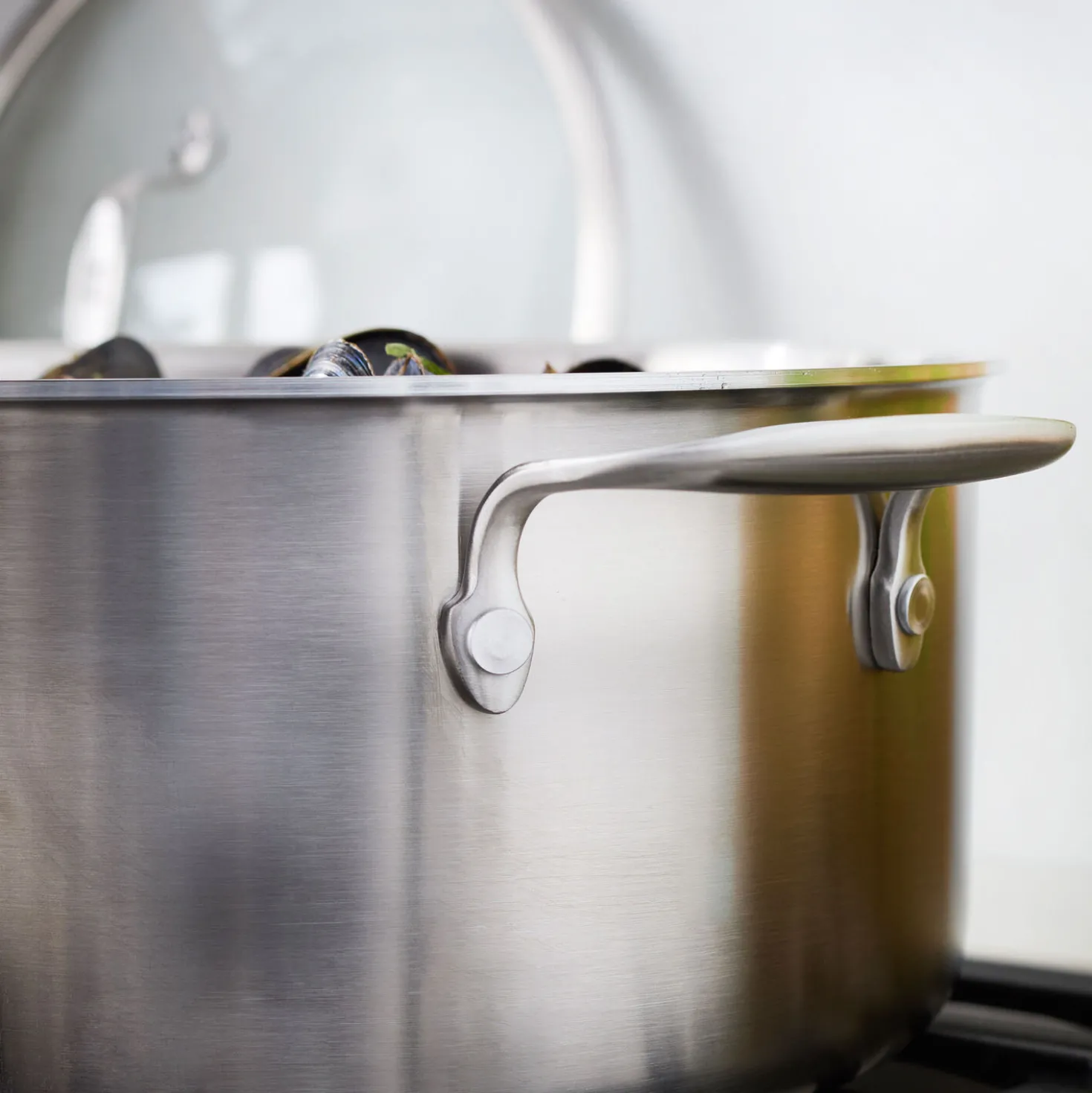 8 qt, Stainless Steel Dutch Oven