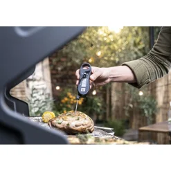 ABS Digital Thermometer