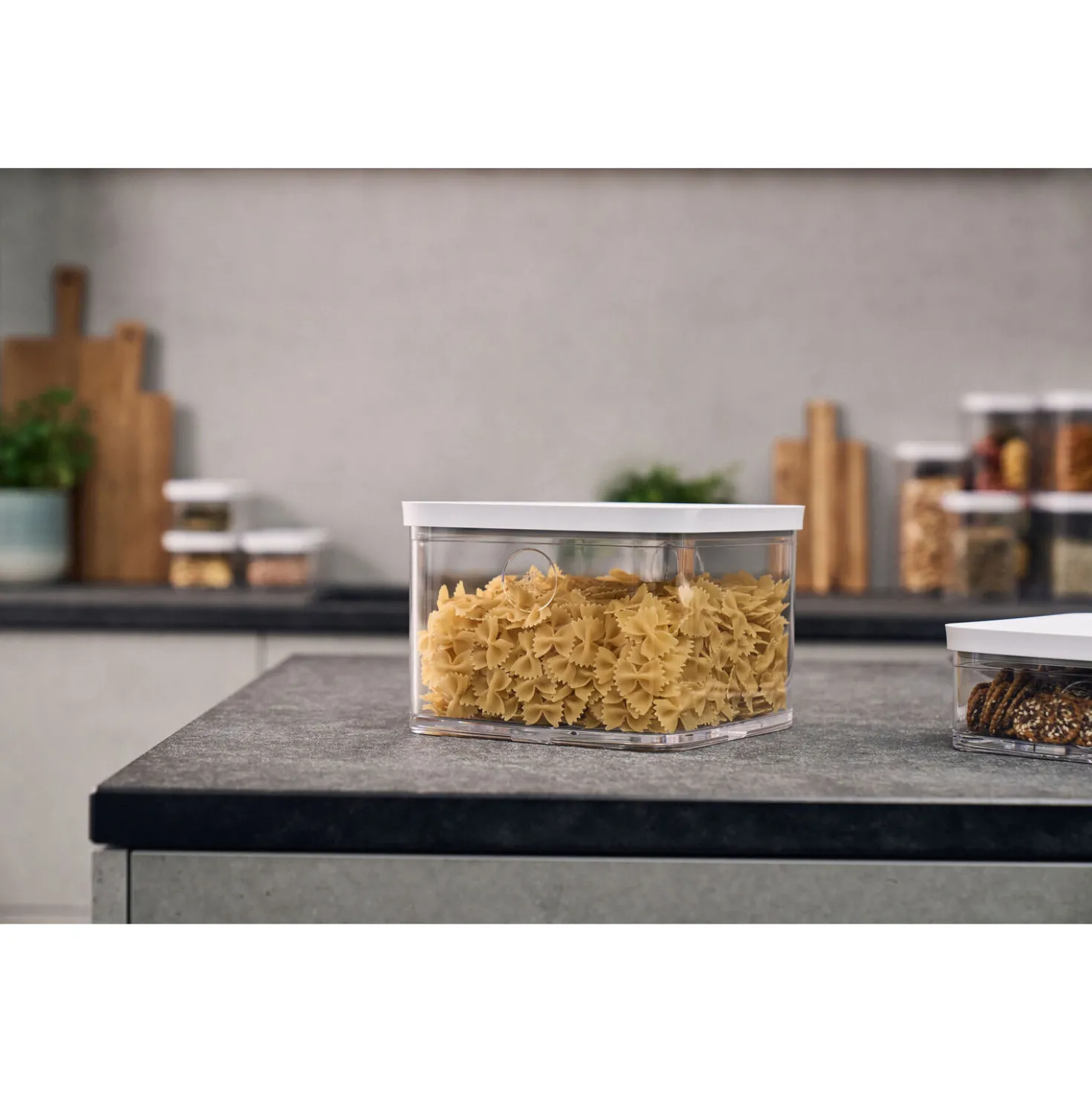 CUBE Container 2L / 21 cm, 4.2 Qt, Transparent-white