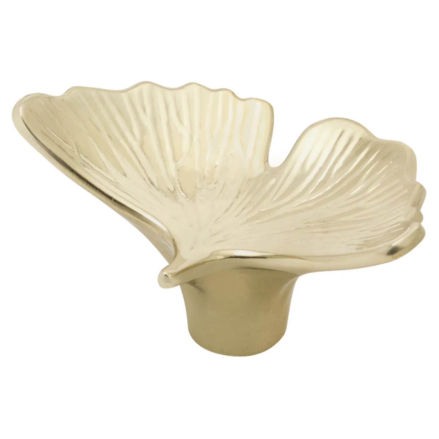 Ginkgo Knob