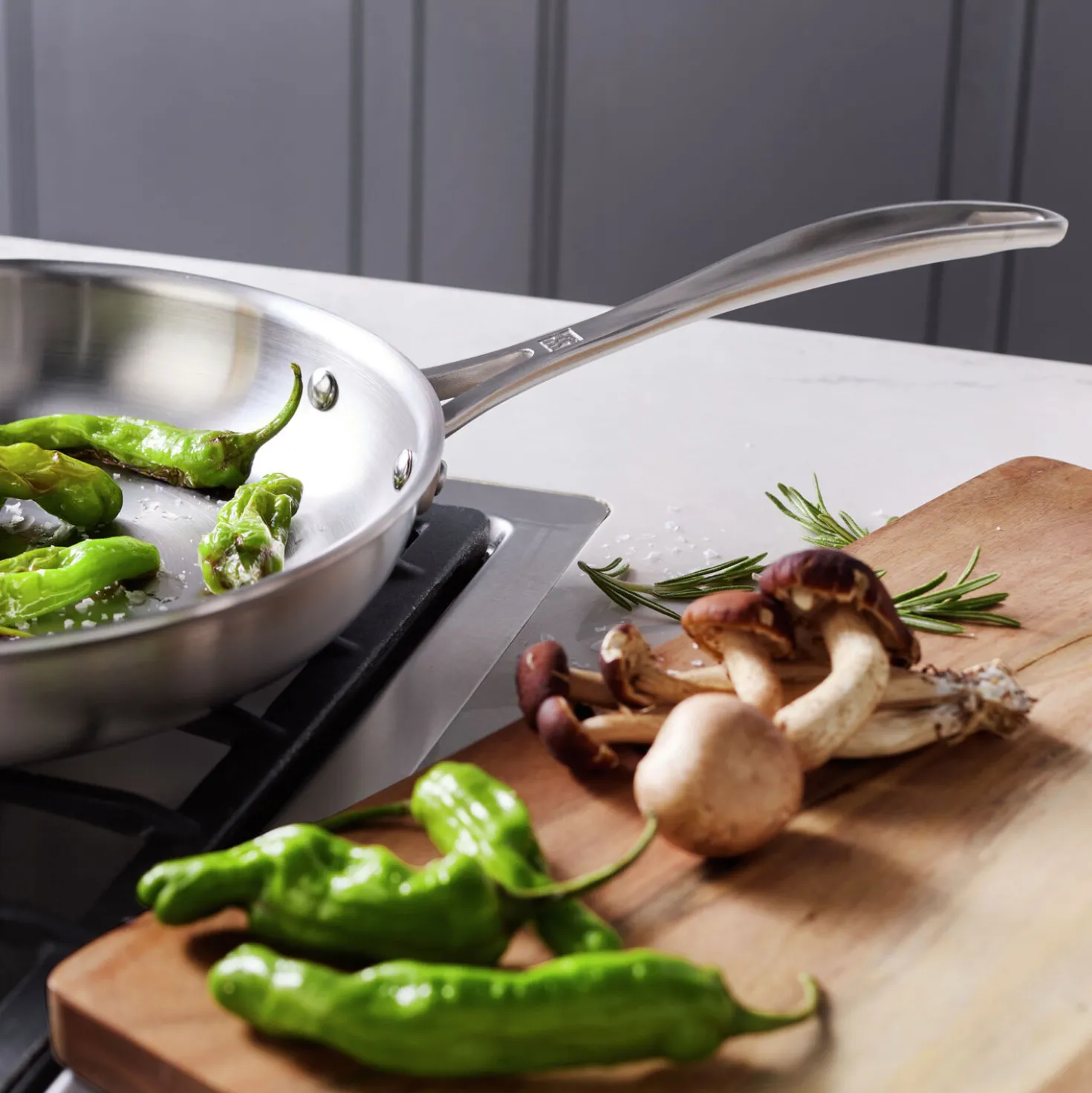 10-inch, 18/10 Stainless Steel, Frying Pan