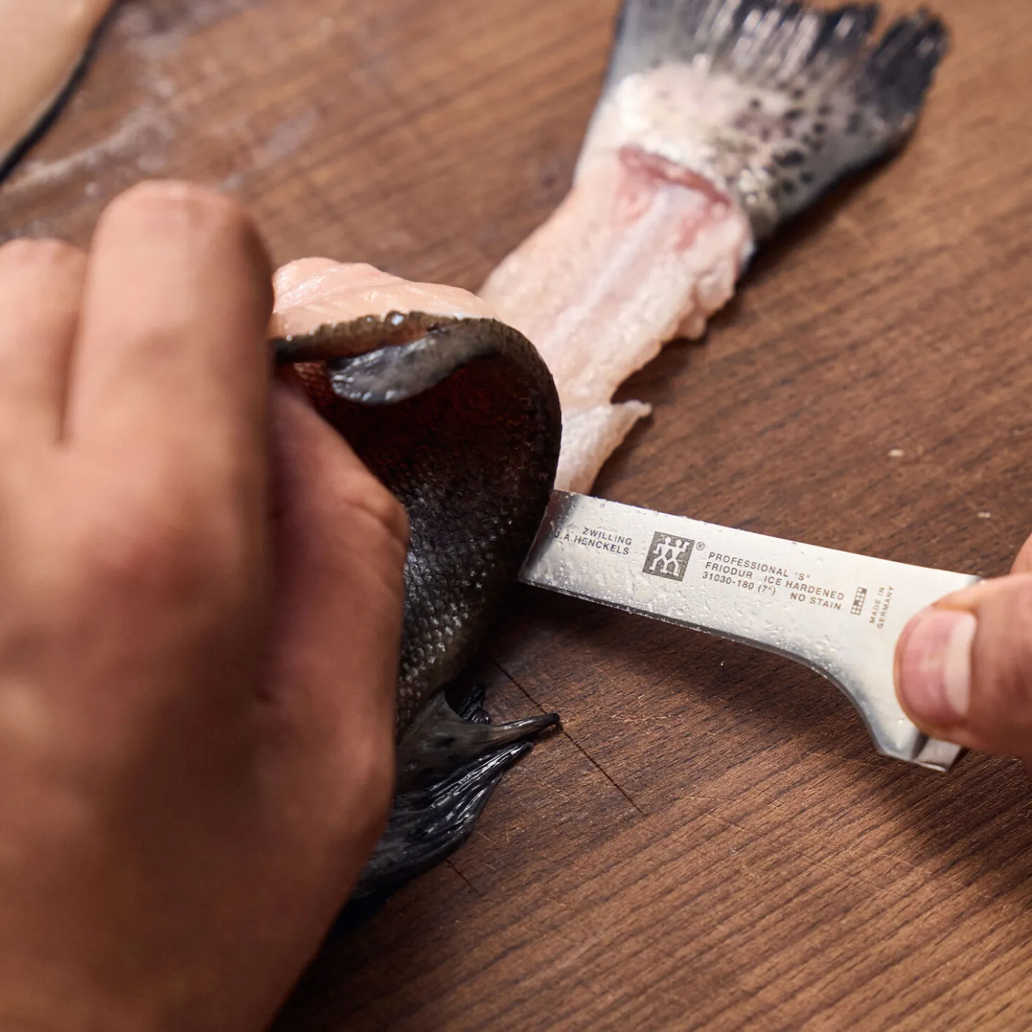 7-inch, Filleting Knife