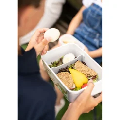 L, DINOS Vacuum Lunch Box, Plastic, White-grey