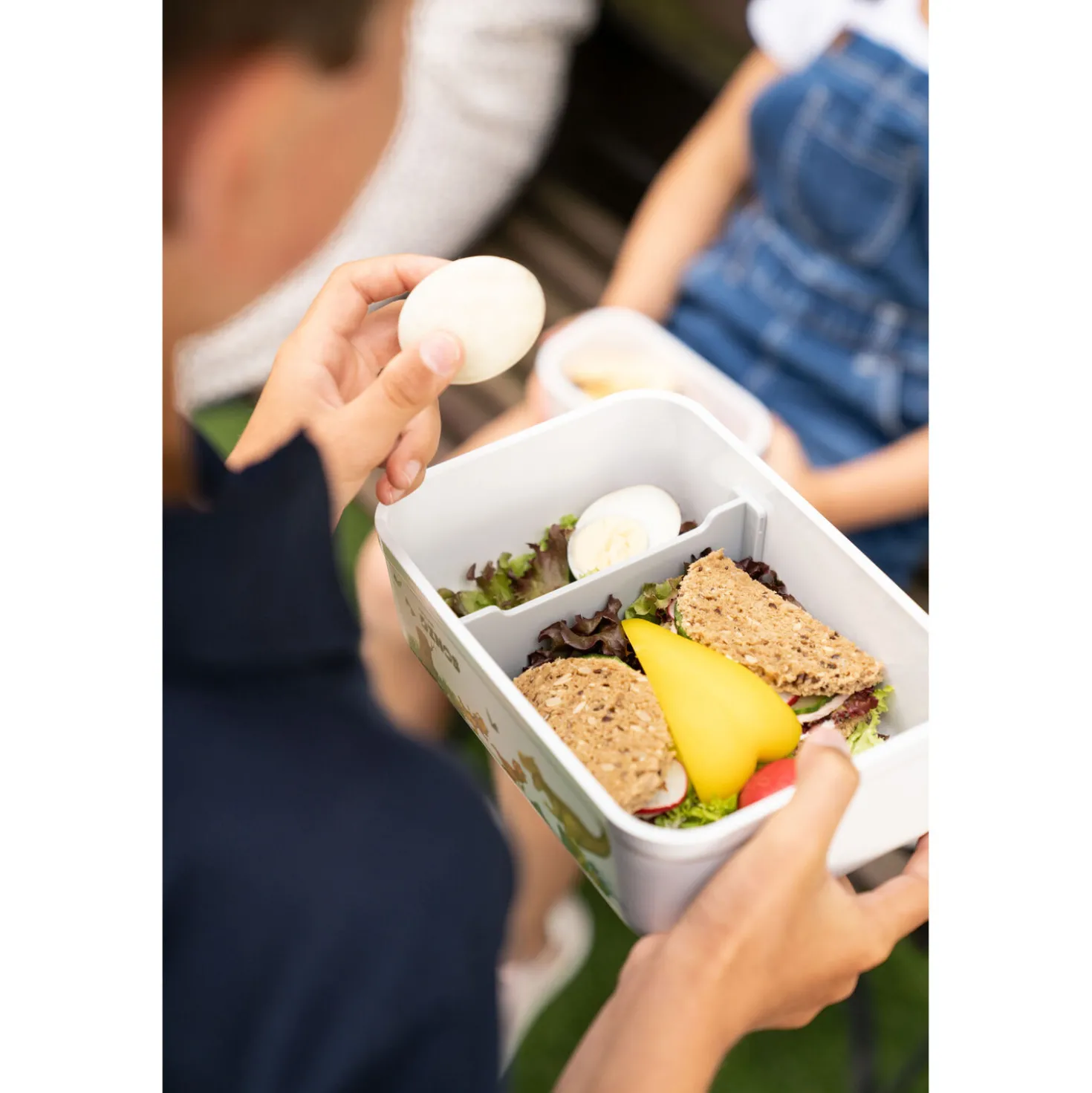 L, DINOS Vacuum Lunch Box, Plastic, White-grey