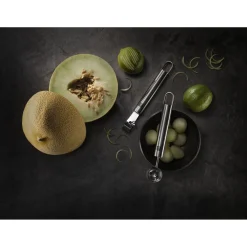 Lemon Zester