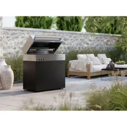 Natural gas grill, black matte