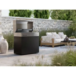 Natural gas grill, black matte