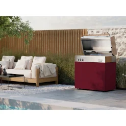 Natural gas grill, ruby