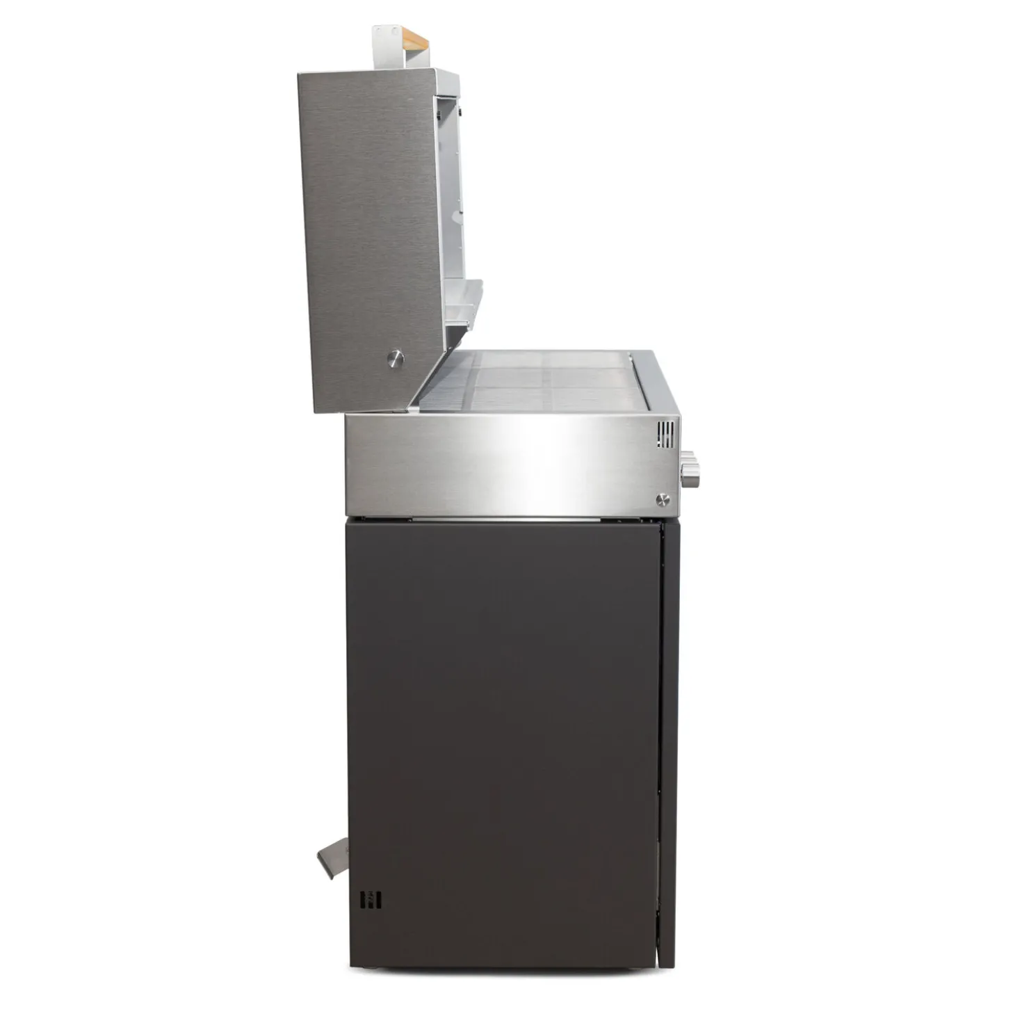Propane gas grill, deep umbra