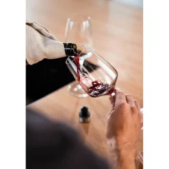 Vacuum Wine Sealer